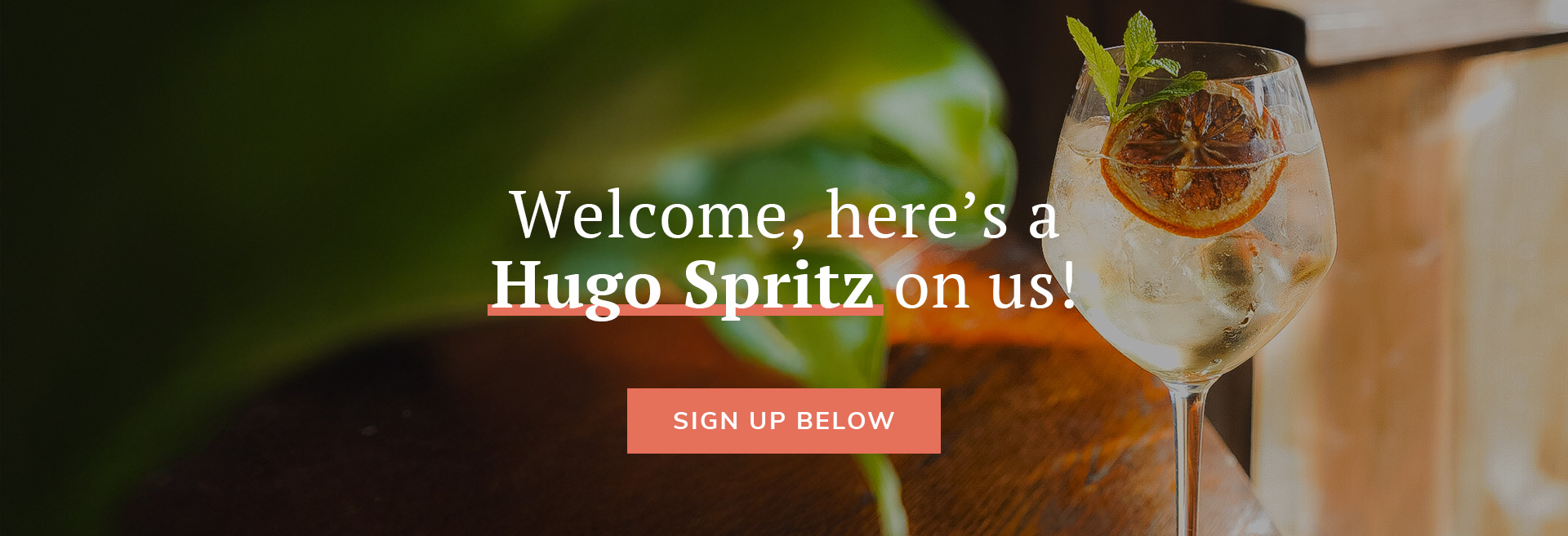 Sign up to the newsletter at The Island Queen